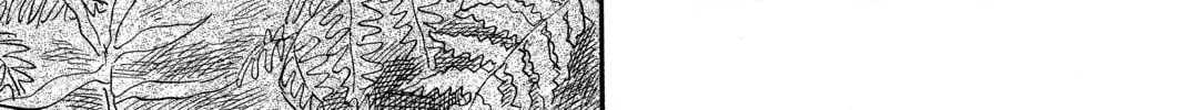 Read Mushishi chapter 49 image 15 on Lezhin