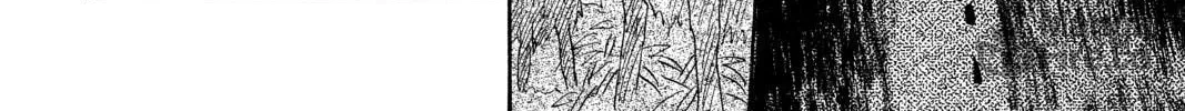 Read Mushishi chapter 49 image 65 on Lezhin