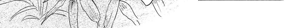 Read Mushishi chapter 49 image 67 on Lezhin