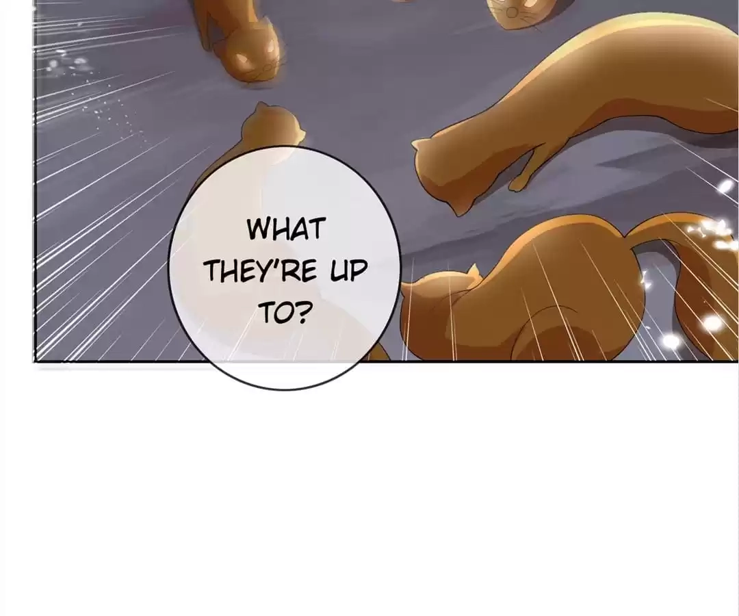 My Apocalyptic Miss Chapter 32 page 95 - 