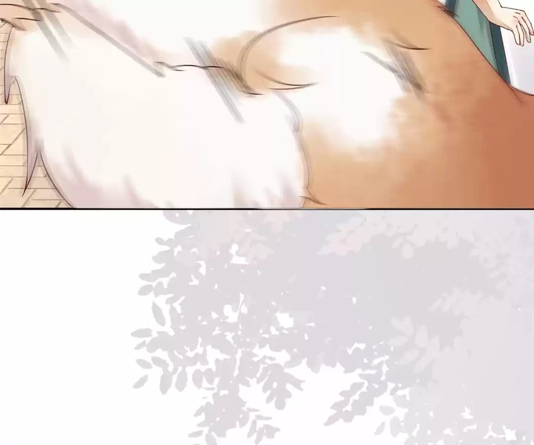 Read My Assassin Consort (Colored) chapter 133 image 42 on Lezhin