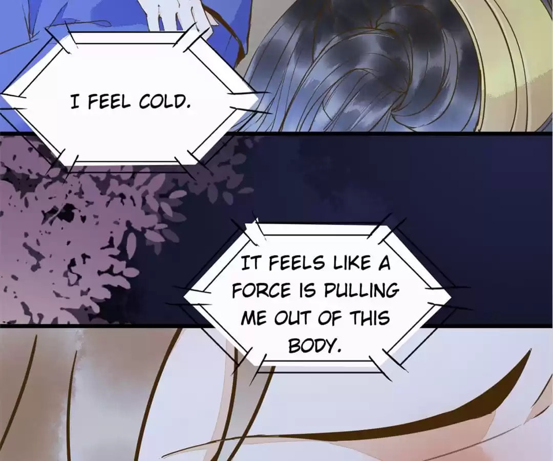 Read My Assassin Consort (Colored) chapter 18 image 82 on Lezhin