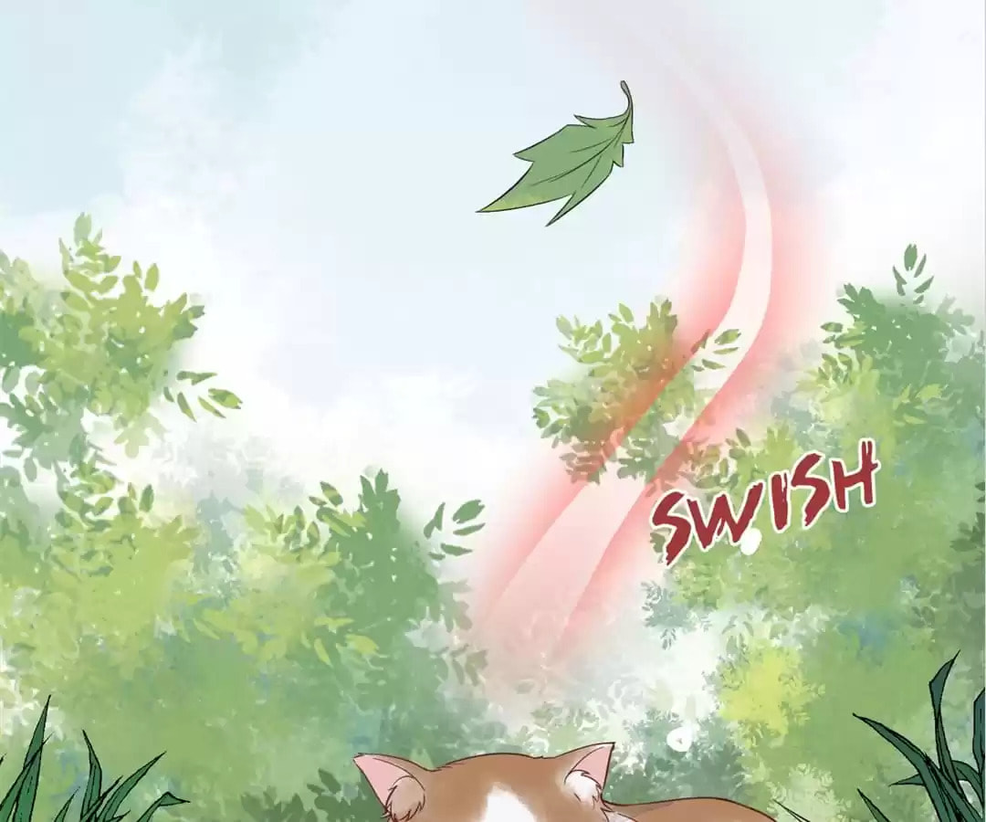 Read My Assassin Consort (Colored) chapter 29 image 82 on Lezhin