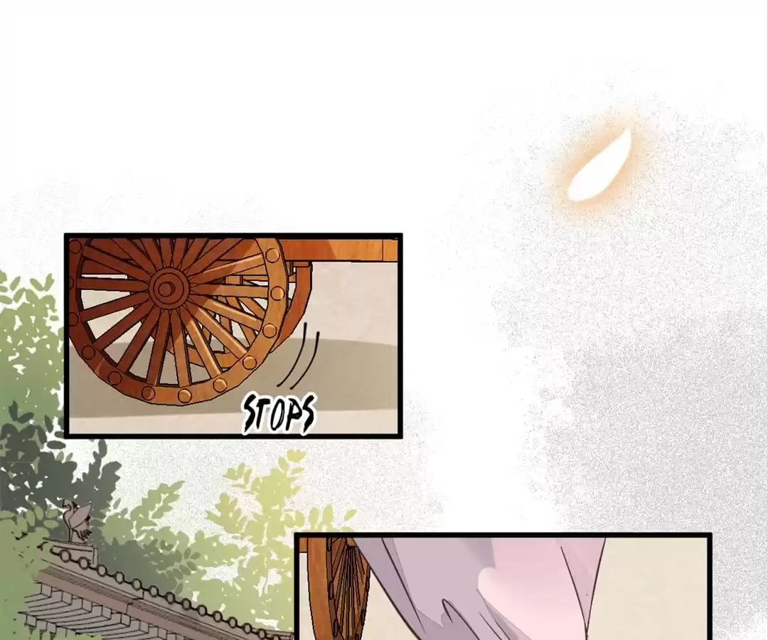 Read My Assassin Consort (Colored) chapter 3 image 1 on Lezhin
