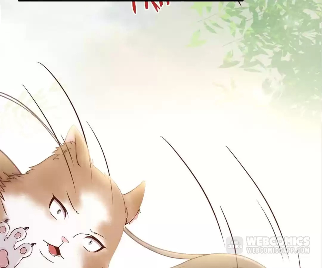 Read My Assassin Consort (Colored) chapter 30 image 55 on Lezhin