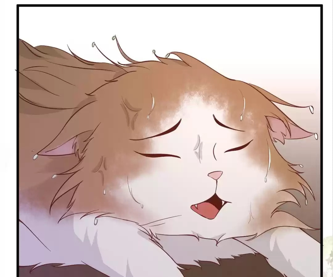 Read My Assassin Consort (Colored) chapter 30 image 65 on Lezhin