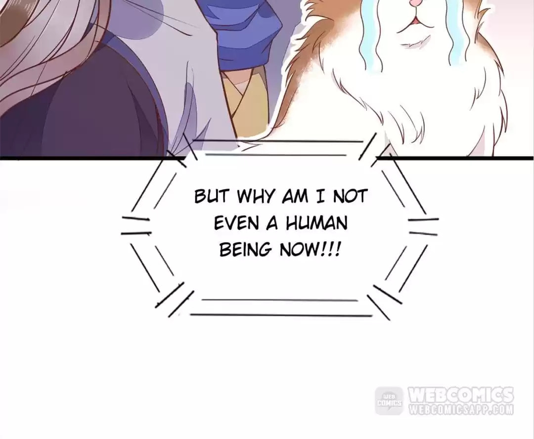 Read My Assassin Consort (Colored) chapter 30 image 71 on Lezhin