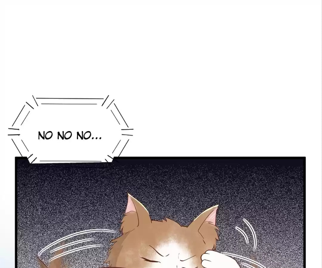 Read My Assassin Consort (Colored) chapter 30 image 72 on Lezhin