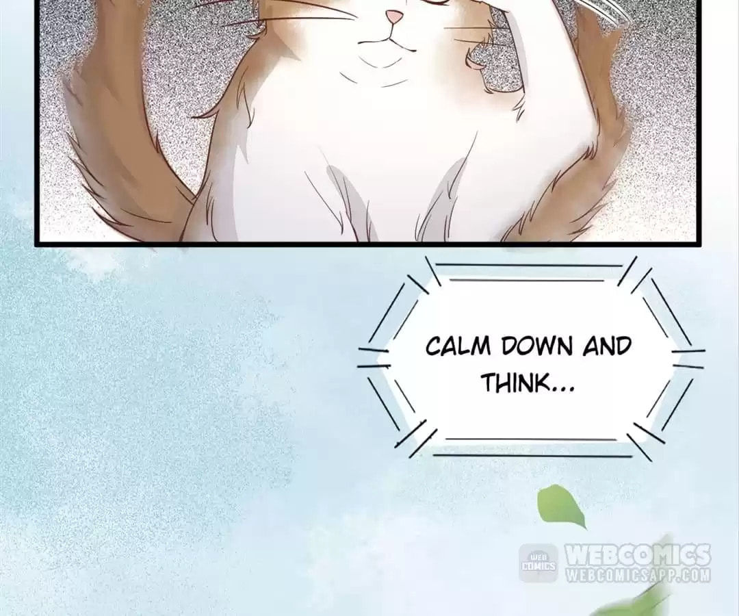 Read My Assassin Consort (Colored) chapter 30 image 73 on Lezhin