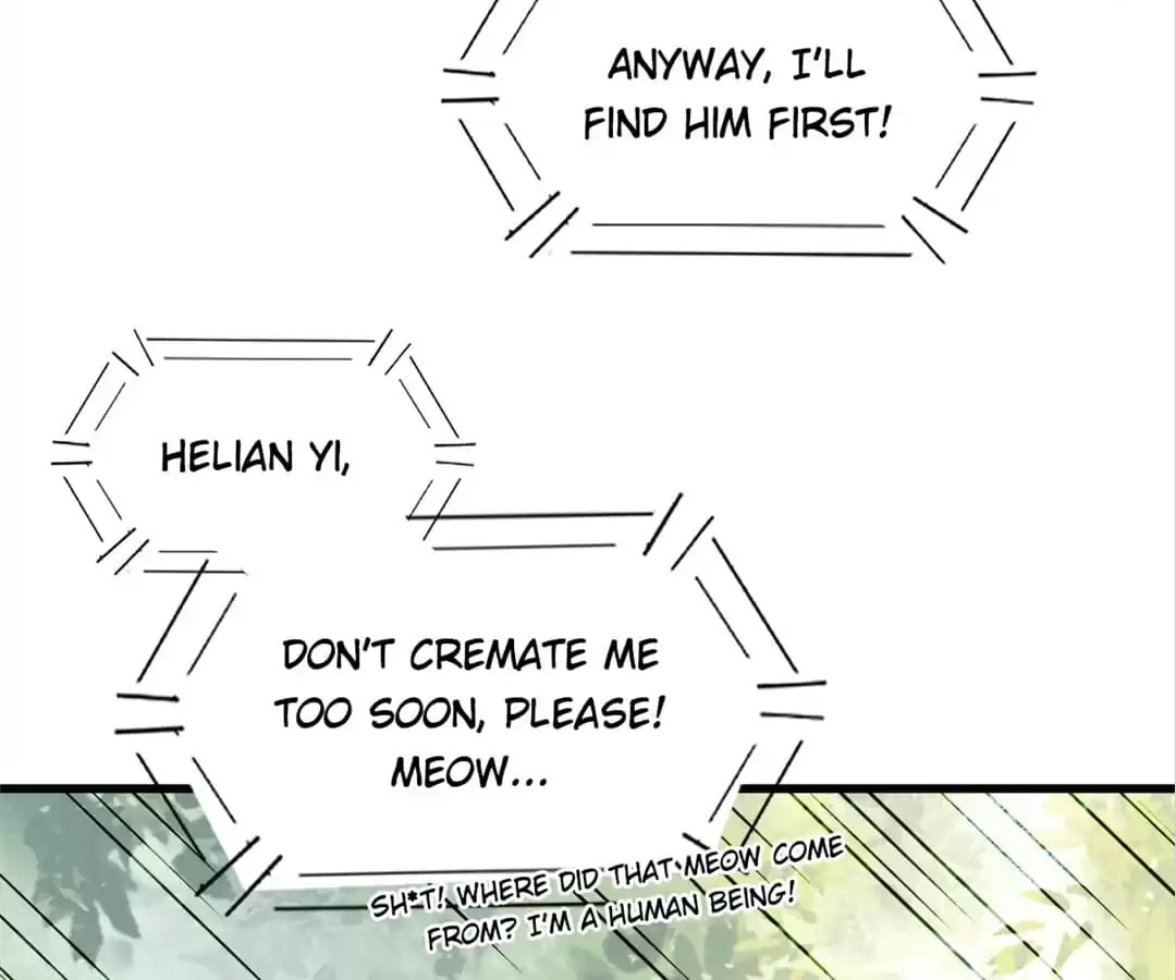 Read My Assassin Consort (Colored) chapter 30 image 77 on Lezhin