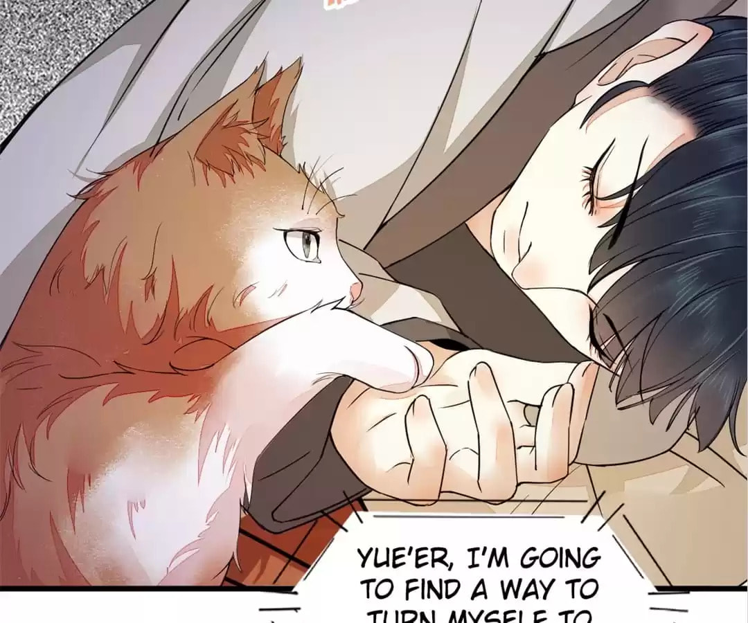 Read My Assassin Consort (Colored) chapter 31 image 28 on Lezhin