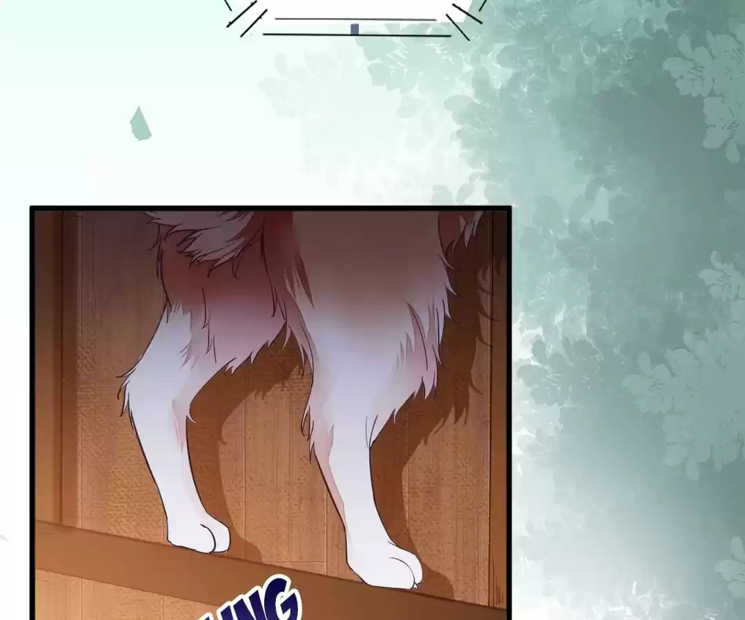 Read My Assassin Consort (Colored) chapter 31 image 33 on Lezhin