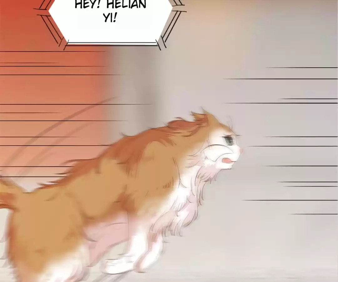 Read My Assassin Consort (Colored) chapter 32 image 20 on Lezhin