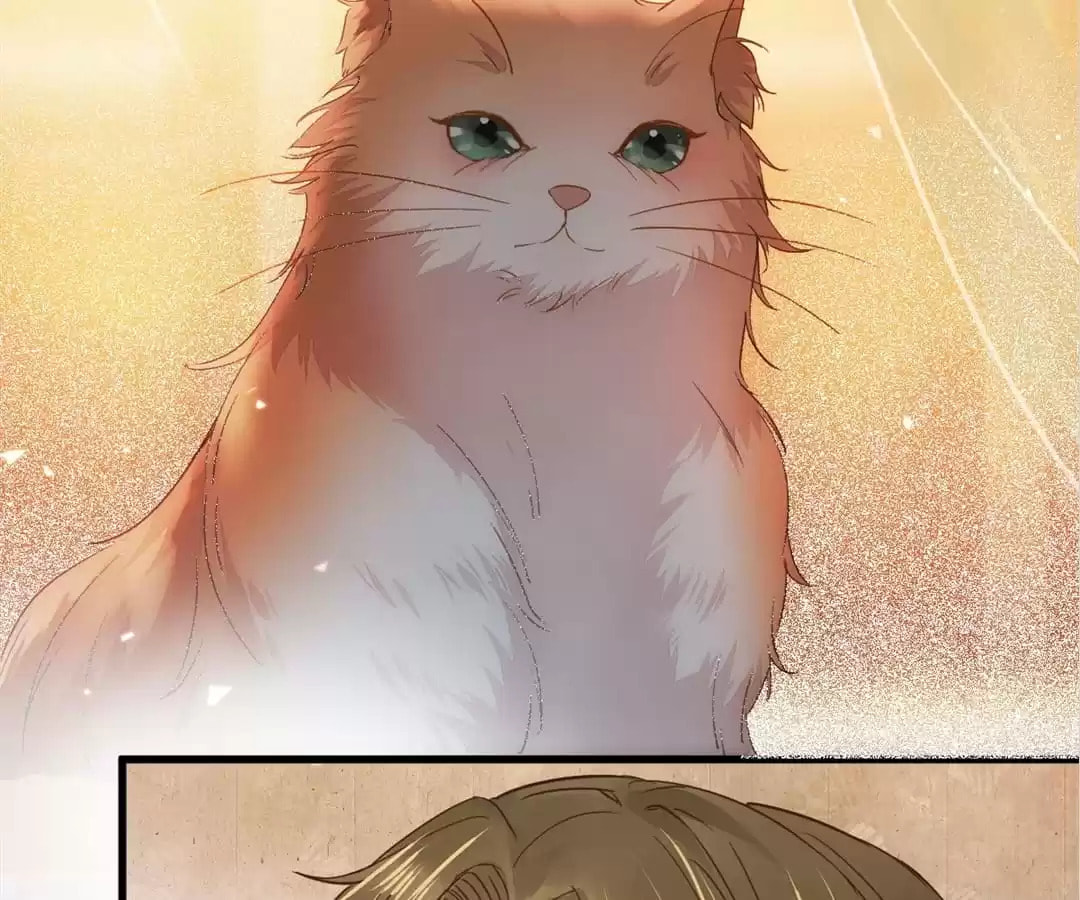 Read My Assassin Consort (Colored) chapter 32 image 48 on Lezhin