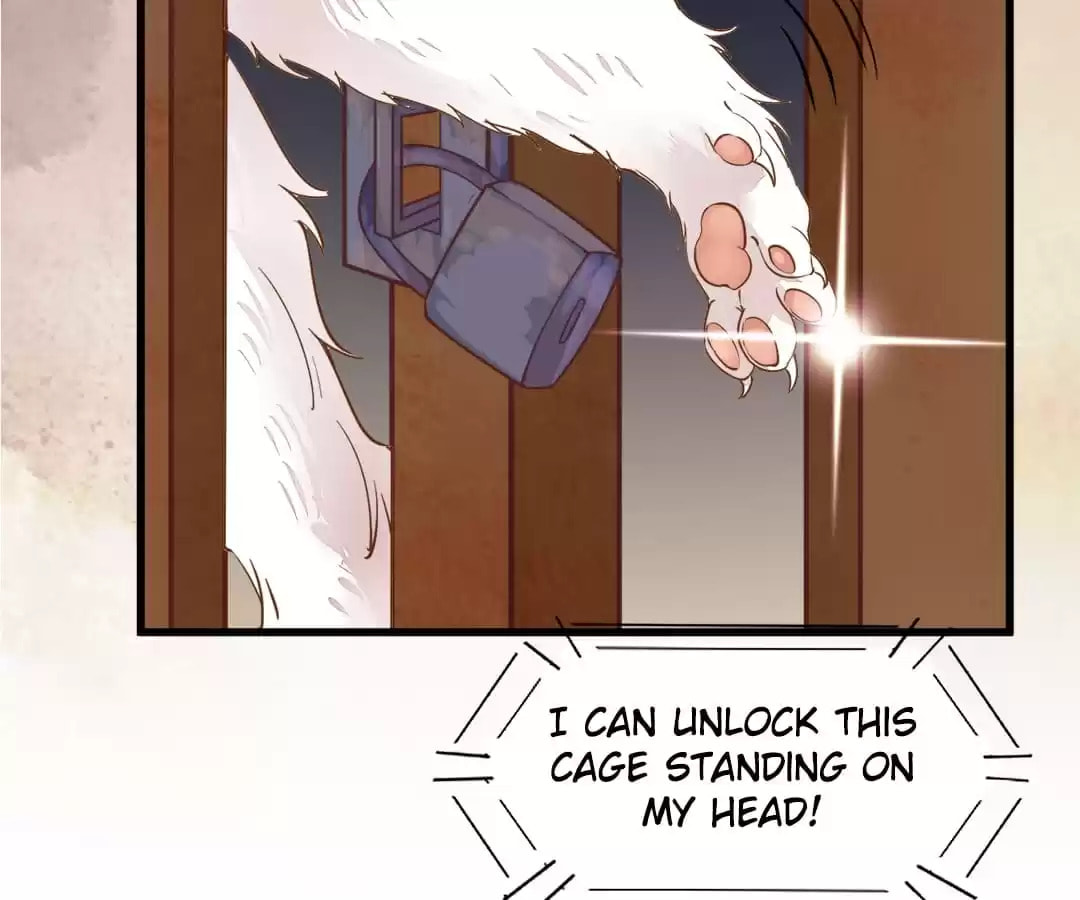 Read My Assassin Consort (Colored) chapter 34 image 72 on Lezhin