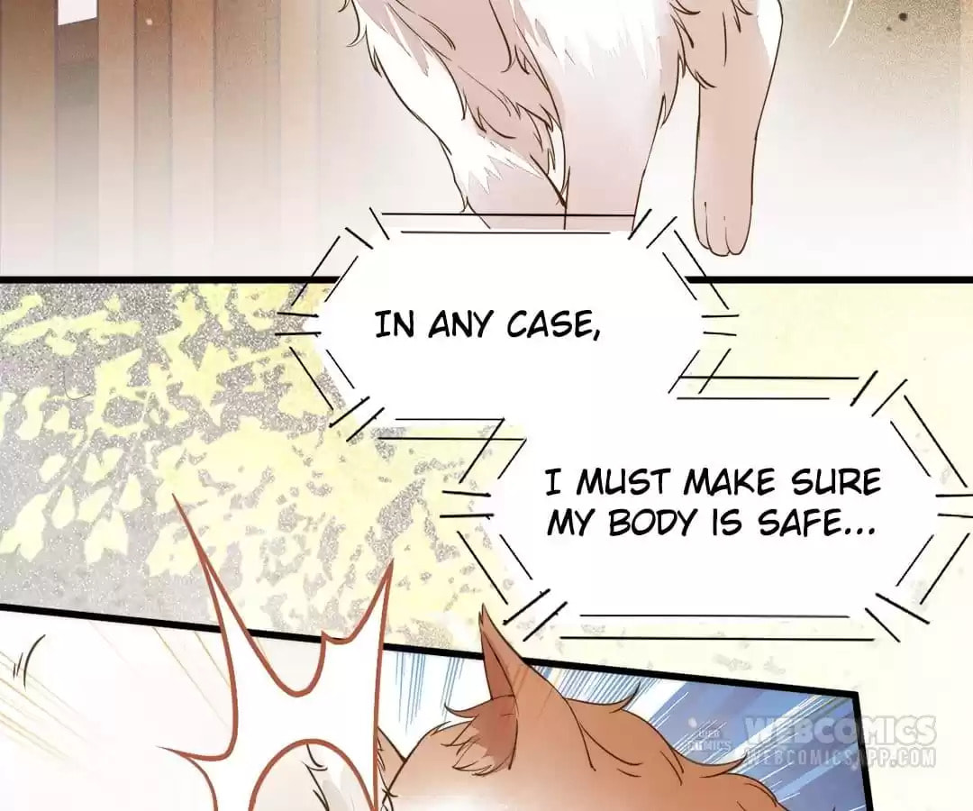 Read My Assassin Consort (Colored) chapter 34 image 75 on Lezhin