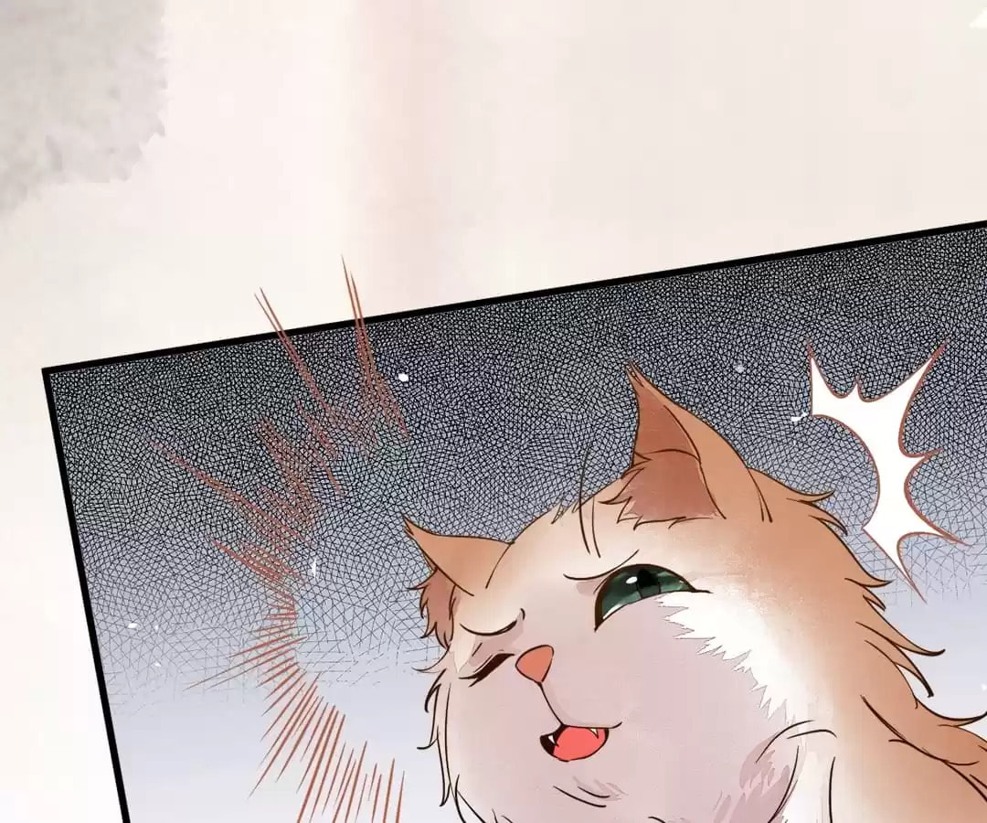 Read My Assassin Consort (Colored) chapter 34 image 77 on Lezhin