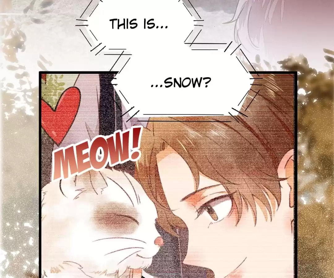 Read My Assassin Consort (Colored) chapter 34 image 81 on Lezhin