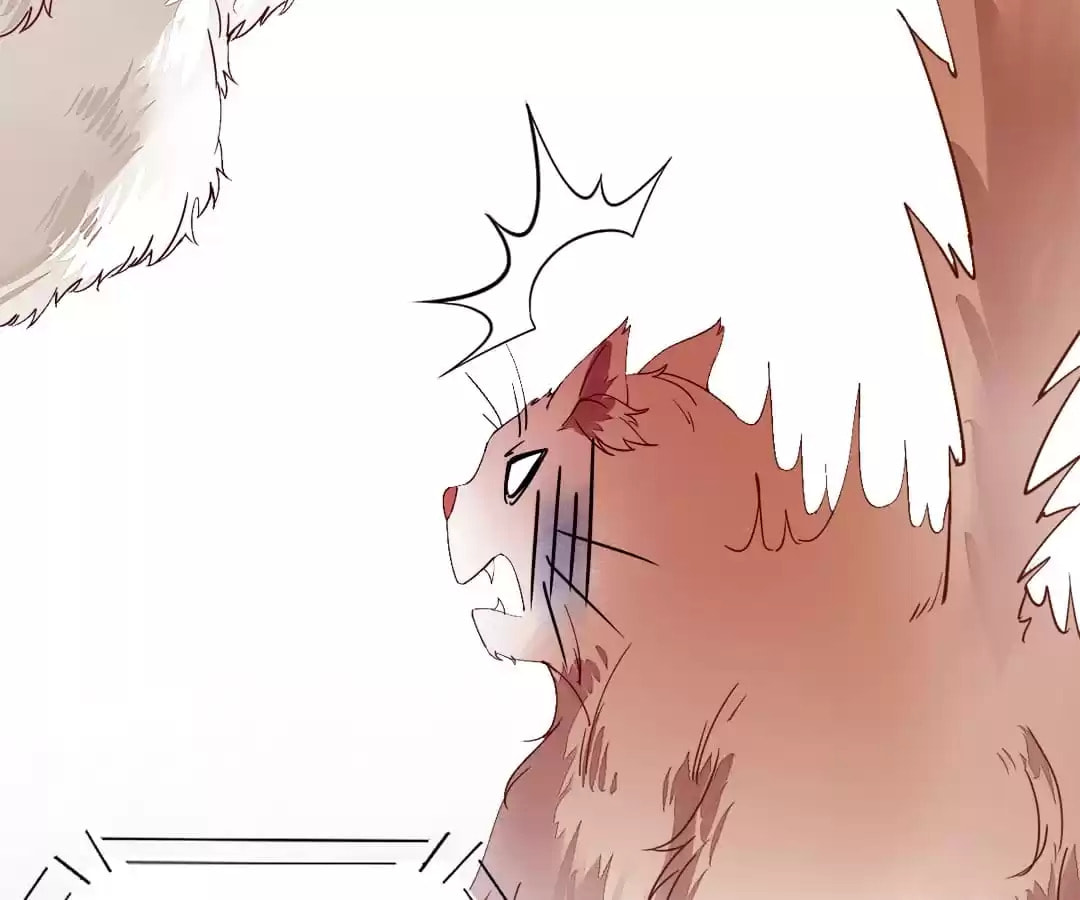 Read My Assassin Consort (Colored) chapter 34 image 84 on Lezhin