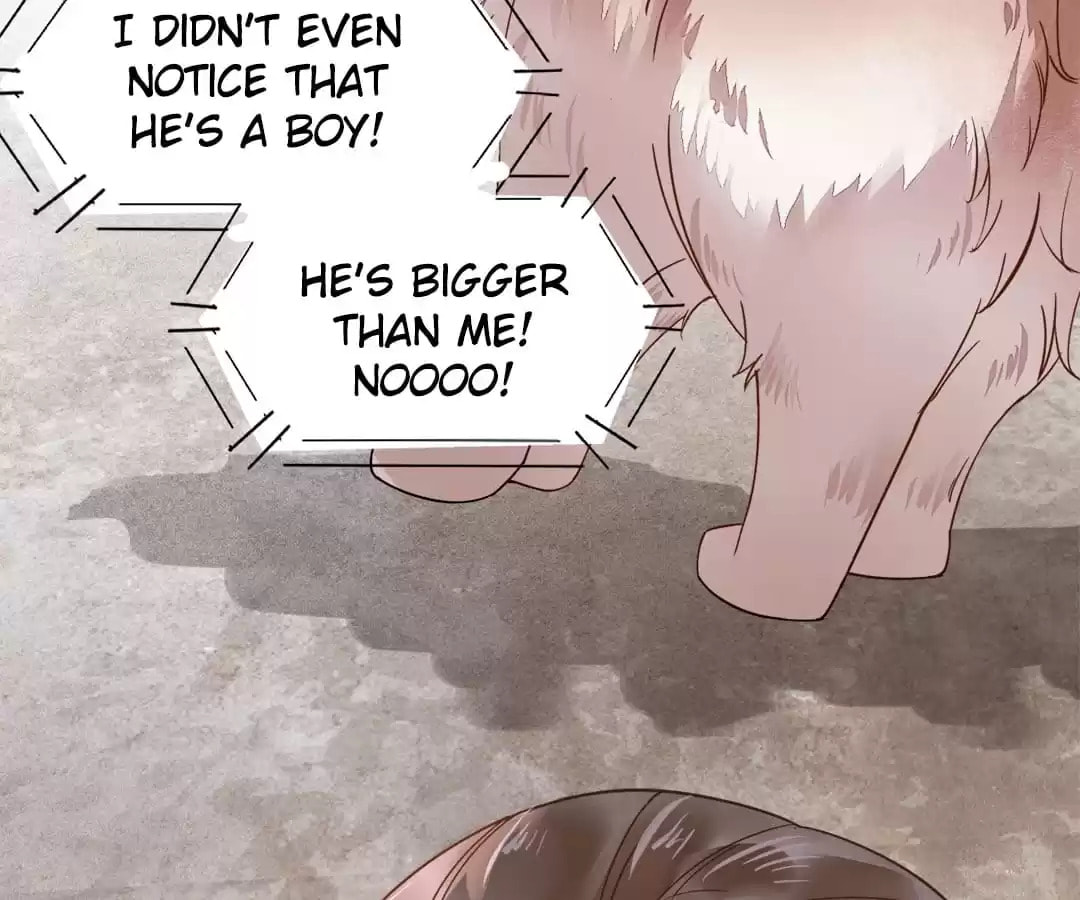 Read My Assassin Consort (Colored) chapter 34 image 85 on Lezhin