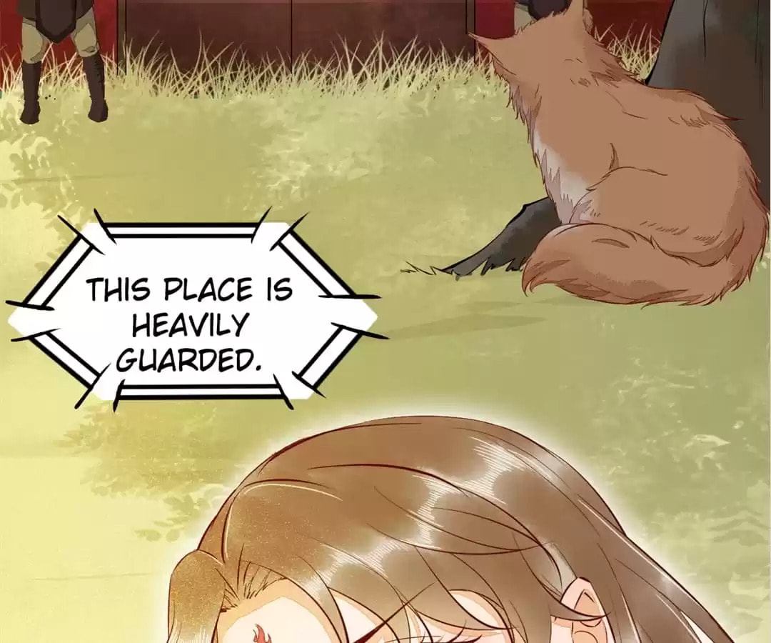 Read My Assassin Consort (Colored) chapter 36 image 69 on Lezhin