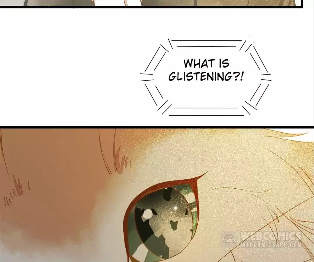 Read My Assassin Consort (Colored) chapter 37 image 10 on Lezhin