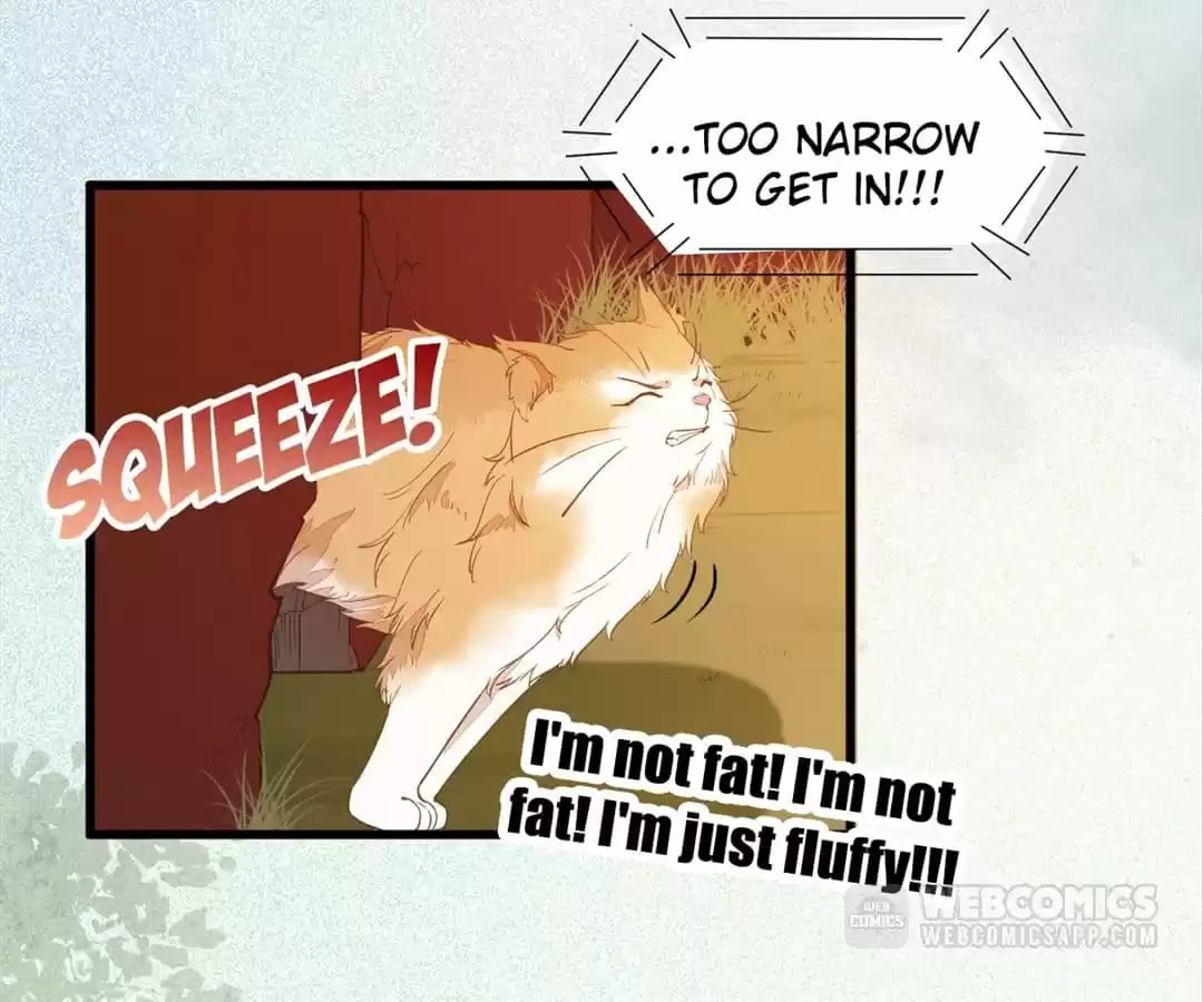 Read My Assassin Consort (Colored) chapter 37 image 2 on Lezhin