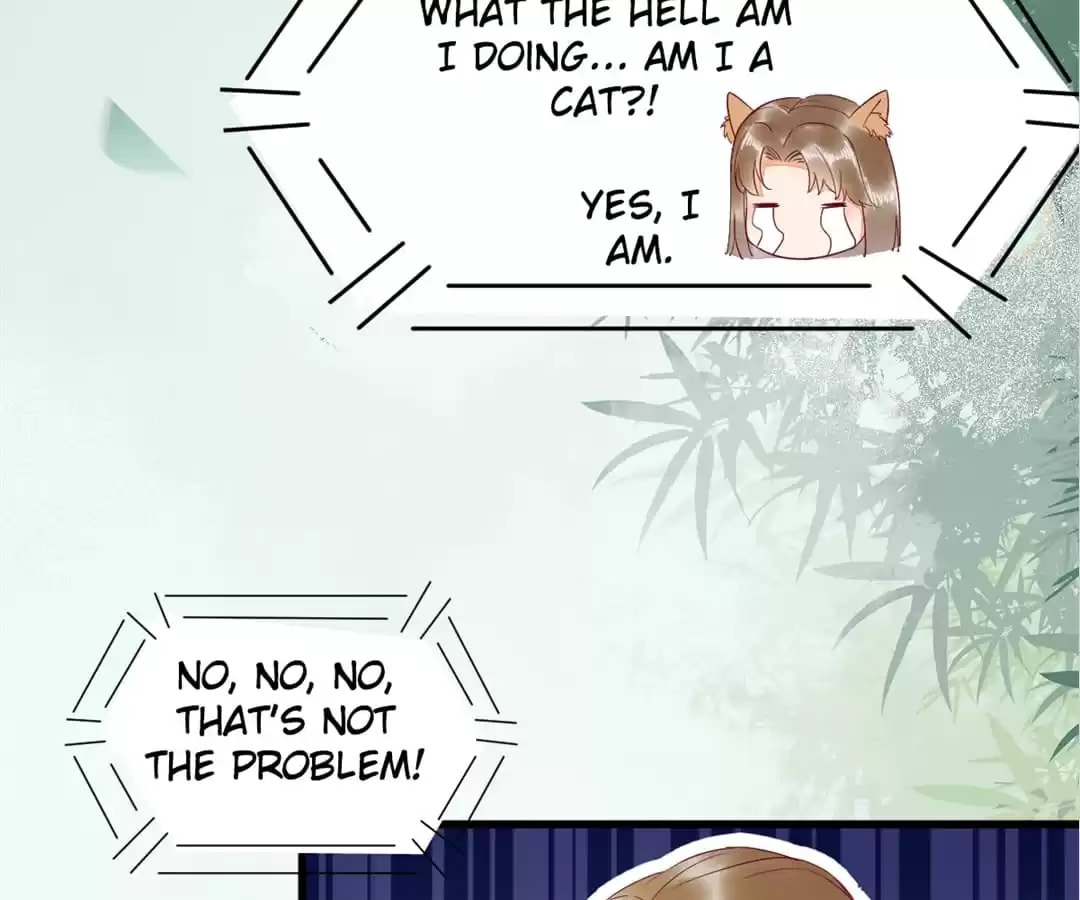 Read My Assassin Consort (Colored) chapter 37 image 25 on Lezhin