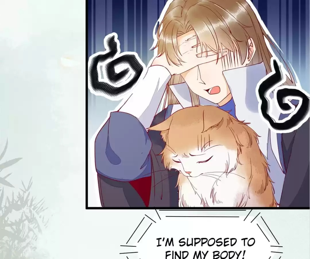 Read My Assassin Consort (Colored) chapter 37 image 26 on Lezhin