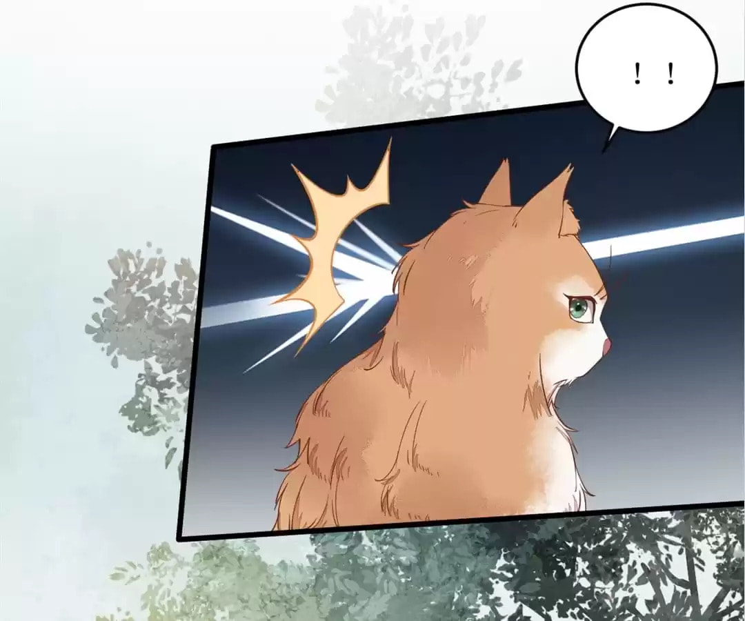 Read My Assassin Consort (Colored) chapter 37 image 29 on Lezhin
