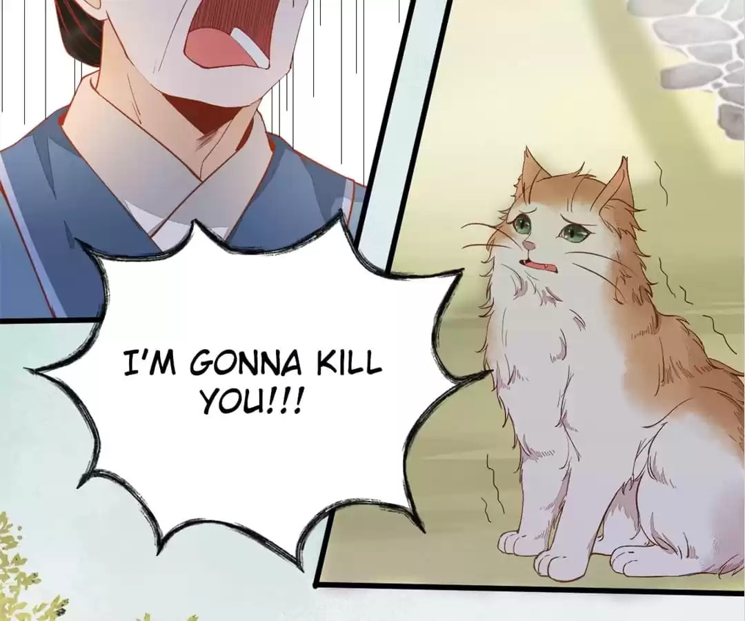Read My Assassin Consort (Colored) chapter 37 image 34 on Lezhin