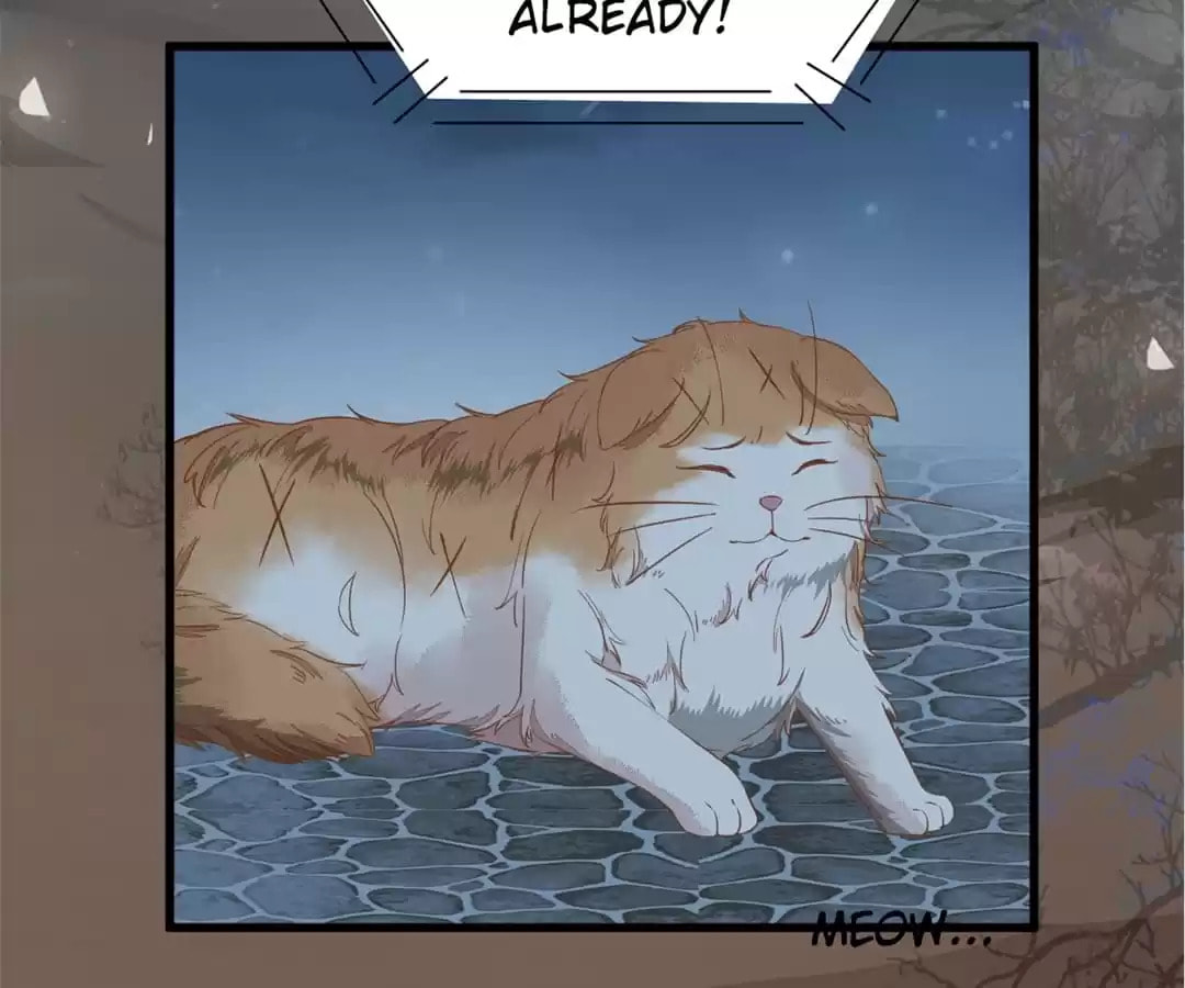 Read My Assassin Consort (Colored) chapter 37 image 41 on Lezhin