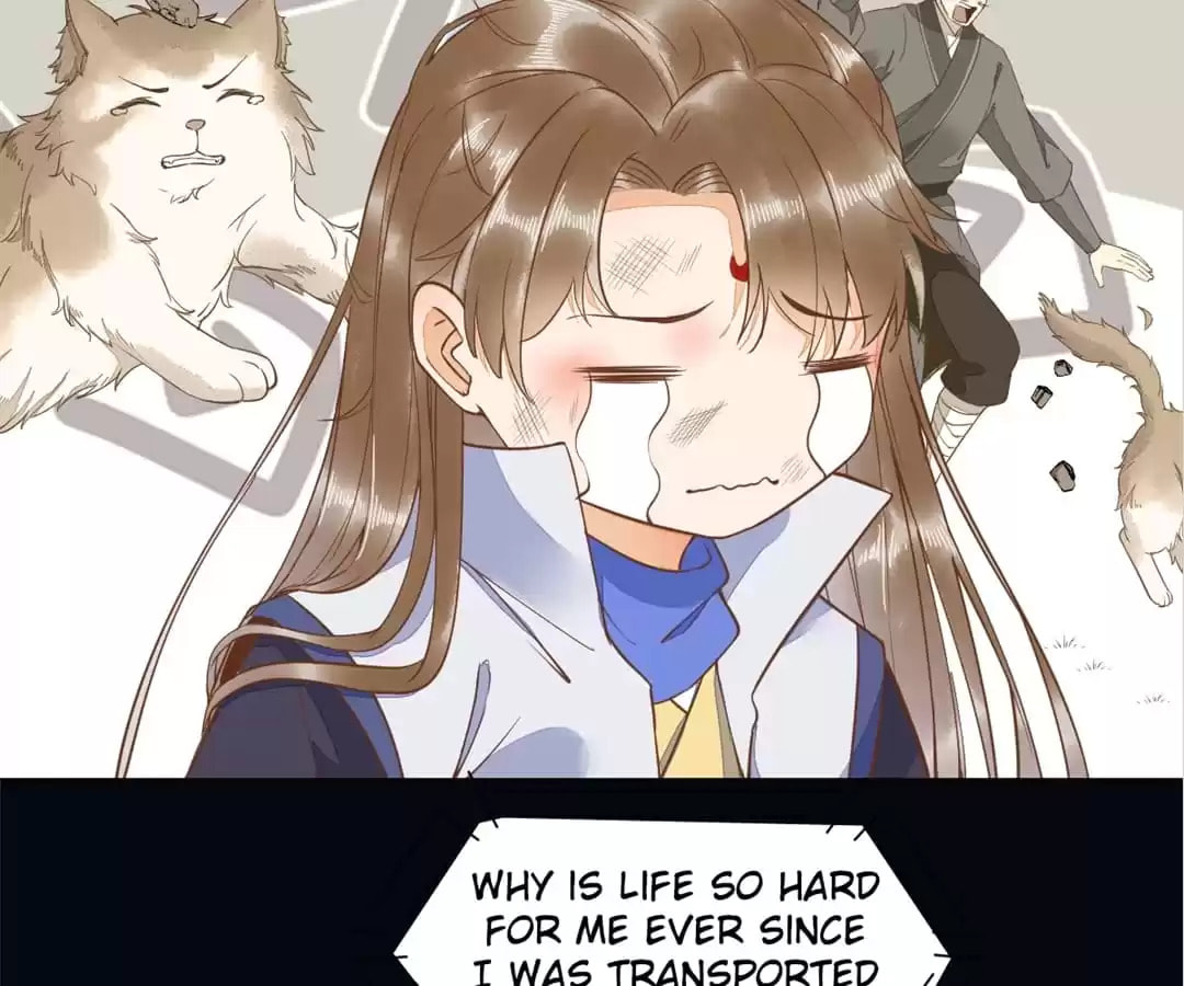 Read My Assassin Consort (Colored) chapter 37 image 43 on Lezhin