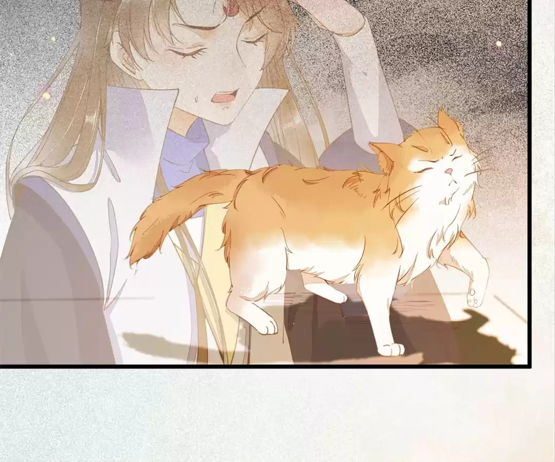 Read My Assassin Consort (Colored) chapter 37 image 5 on Lezhin