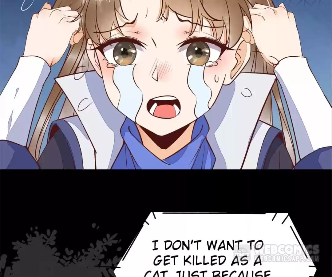 Read My Assassin Consort (Colored) chapter 37 image 54 on Lezhin