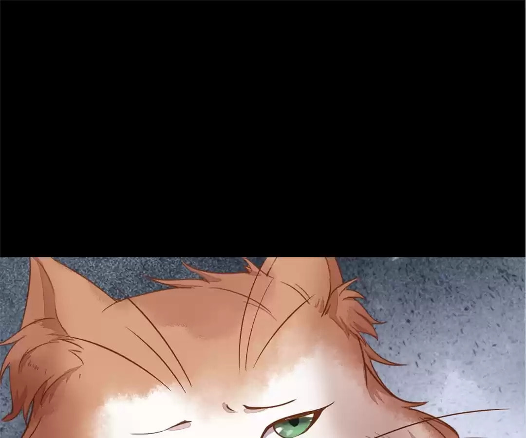 Read My Assassin Consort (Colored) chapter 37 image 61 on Lezhin