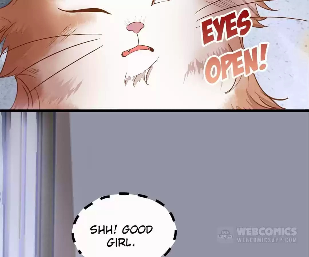 Read My Assassin Consort (Colored) chapter 37 image 62 on Lezhin