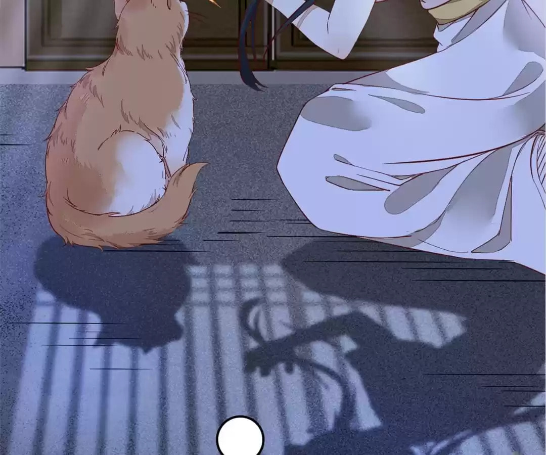 Read My Assassin Consort (Colored) chapter 37 image 70 on Lezhin