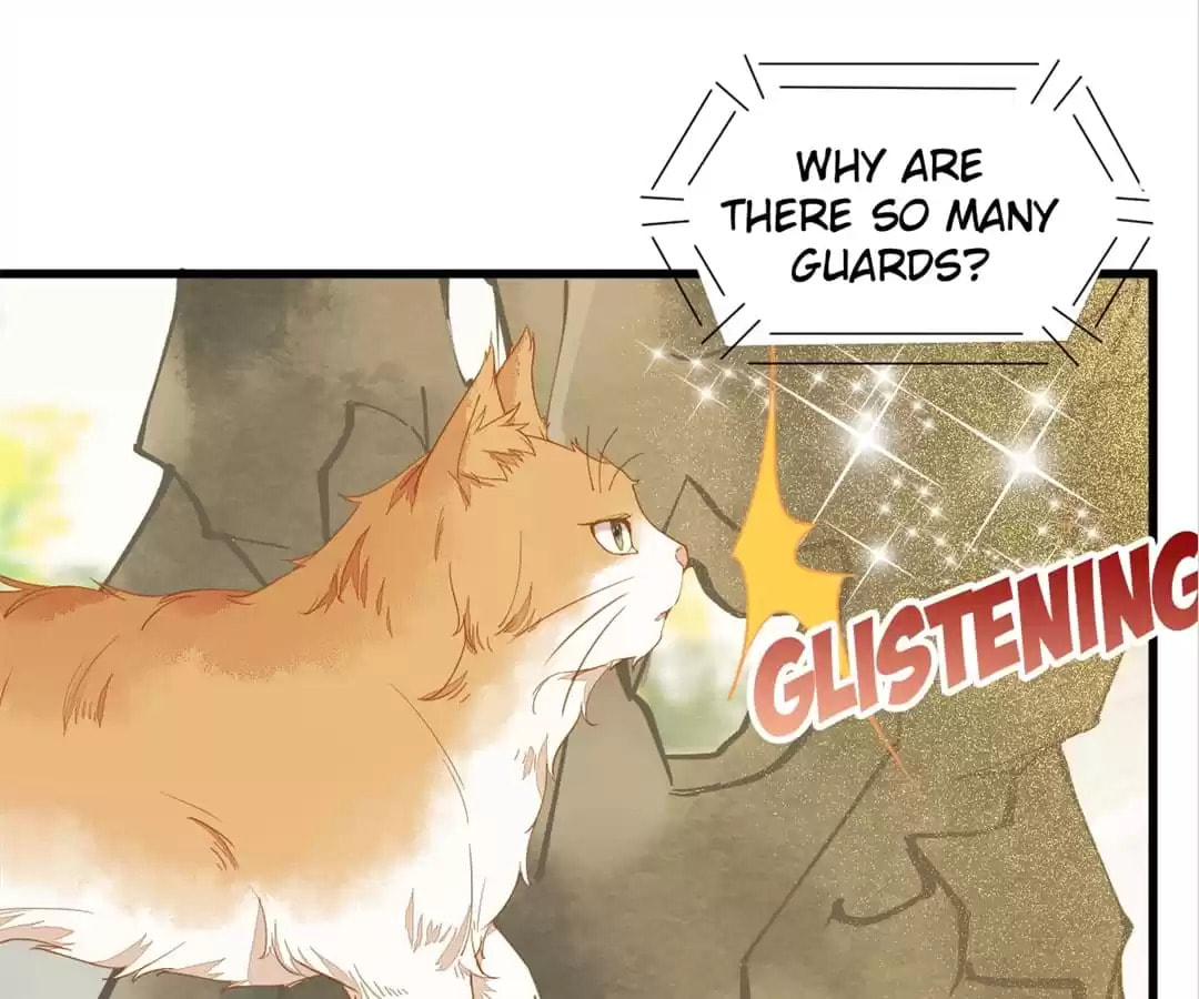 Read My Assassin Consort (Colored) chapter 37 image 9 on Lezhin