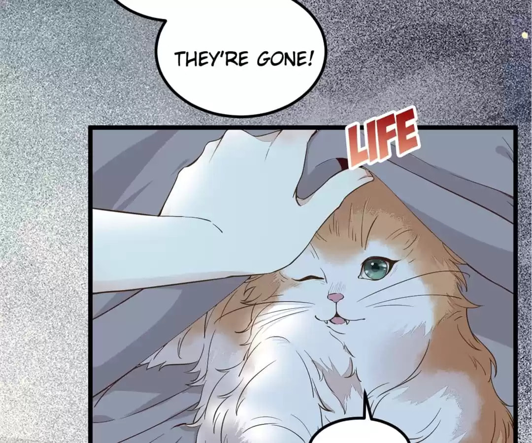 Read My Assassin Consort (Colored) chapter 38 image 16 on Lezhin