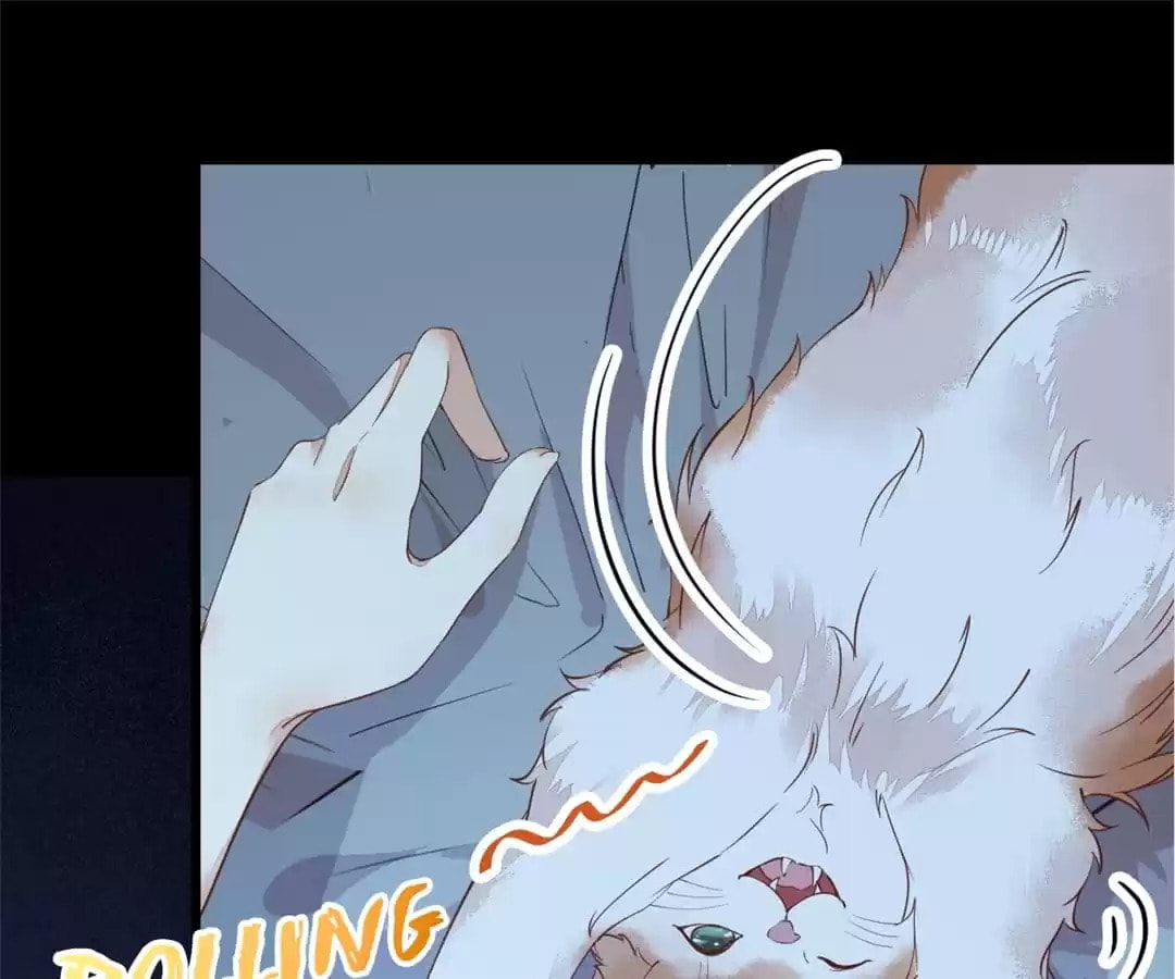 Read My Assassin Consort (Colored) chapter 38 image 30 on Lezhin