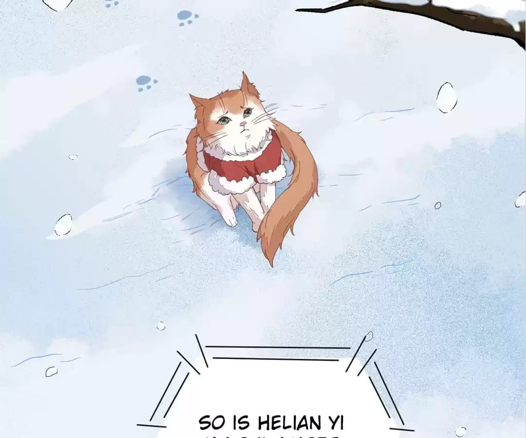 Read My Assassin Consort (Colored) chapter 38 image 77 on Lezhin