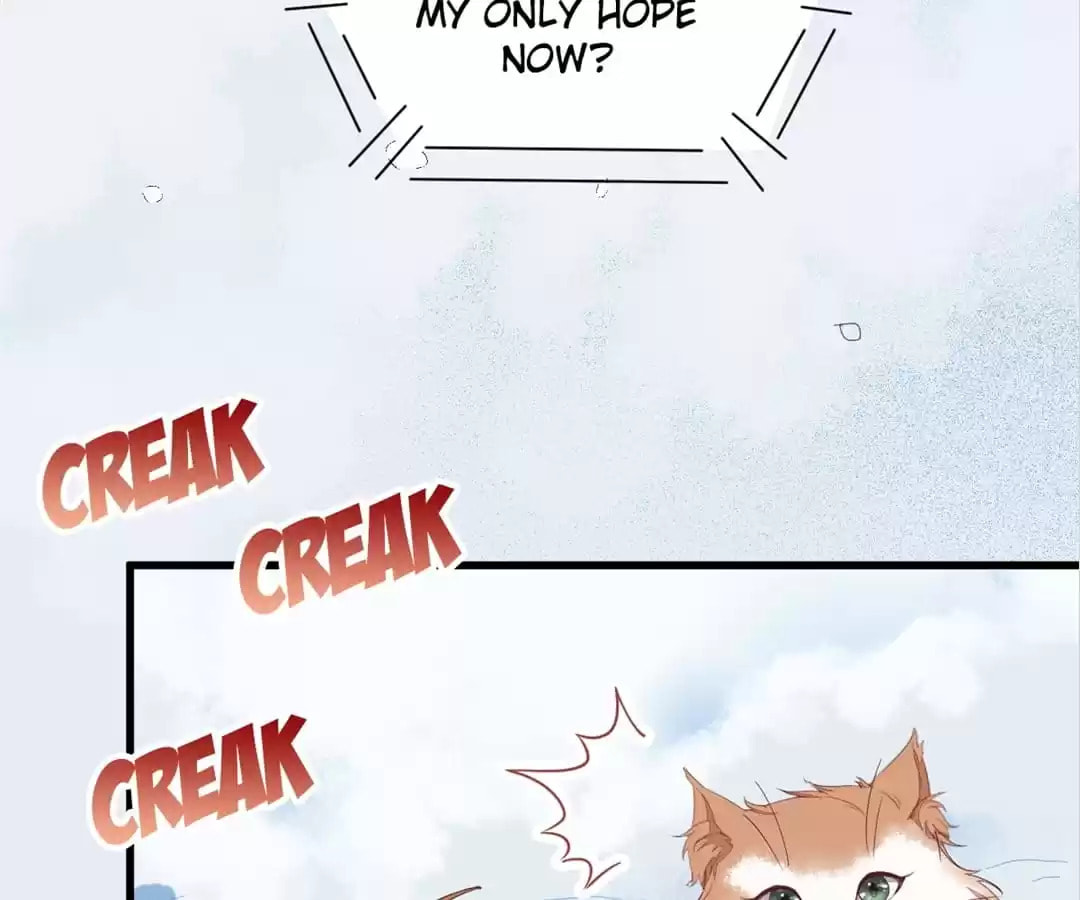 Read My Assassin Consort (Colored) chapter 38 image 78 on Lezhin
