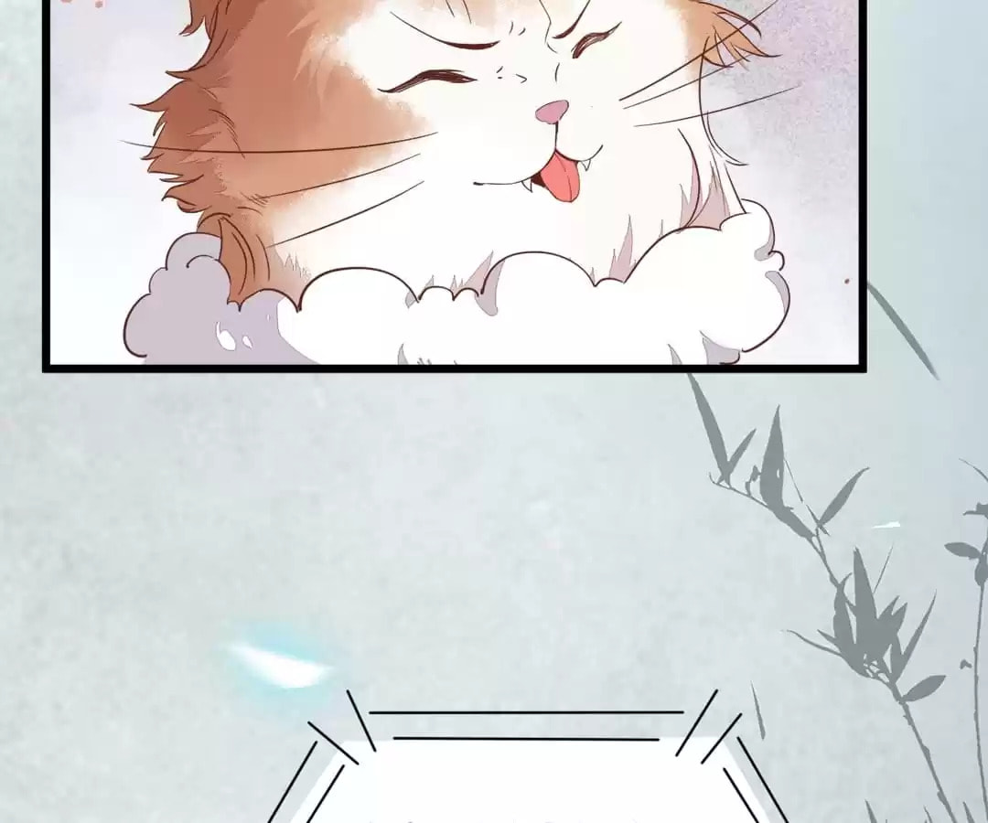 Read My Assassin Consort (Colored) chapter 39 image 38 on Lezhin