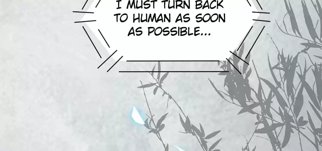 Read My Assassin Consort (Colored) chapter 39 image 39 on Lezhin