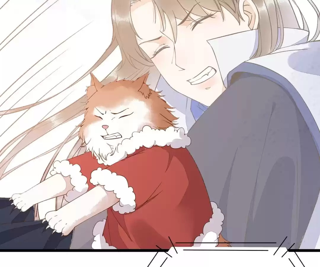 Read My Assassin Consort (Colored) chapter 39 image 51 on Lezhin