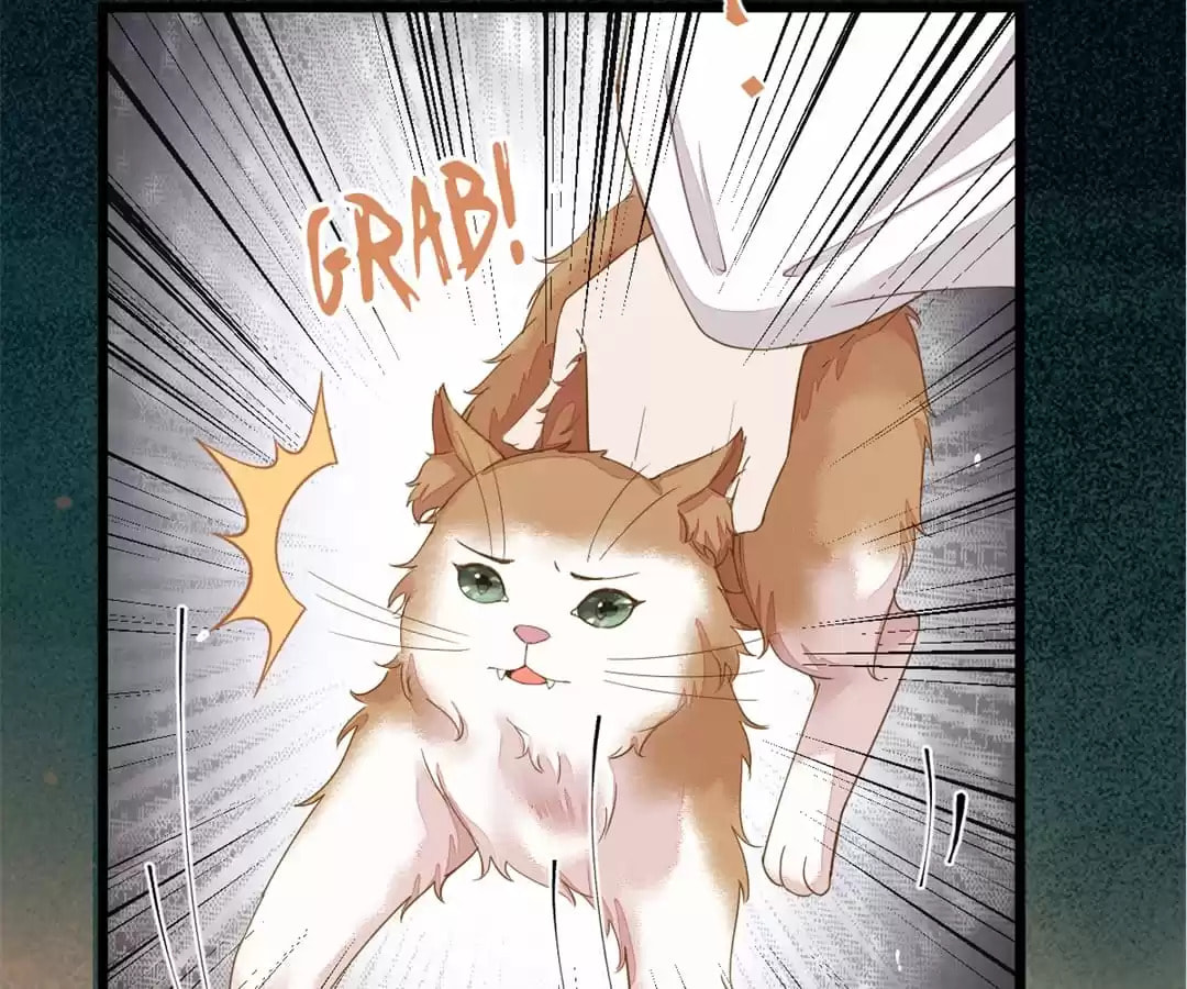 Read My Assassin Consort (Colored) chapter 45 image 12 on Lezhin