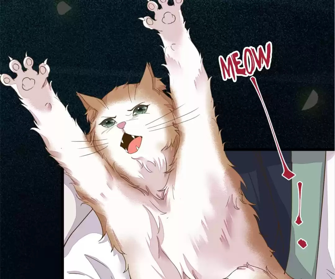 Read My Assassin Consort (Colored) chapter 45 image 4 on Lezhin