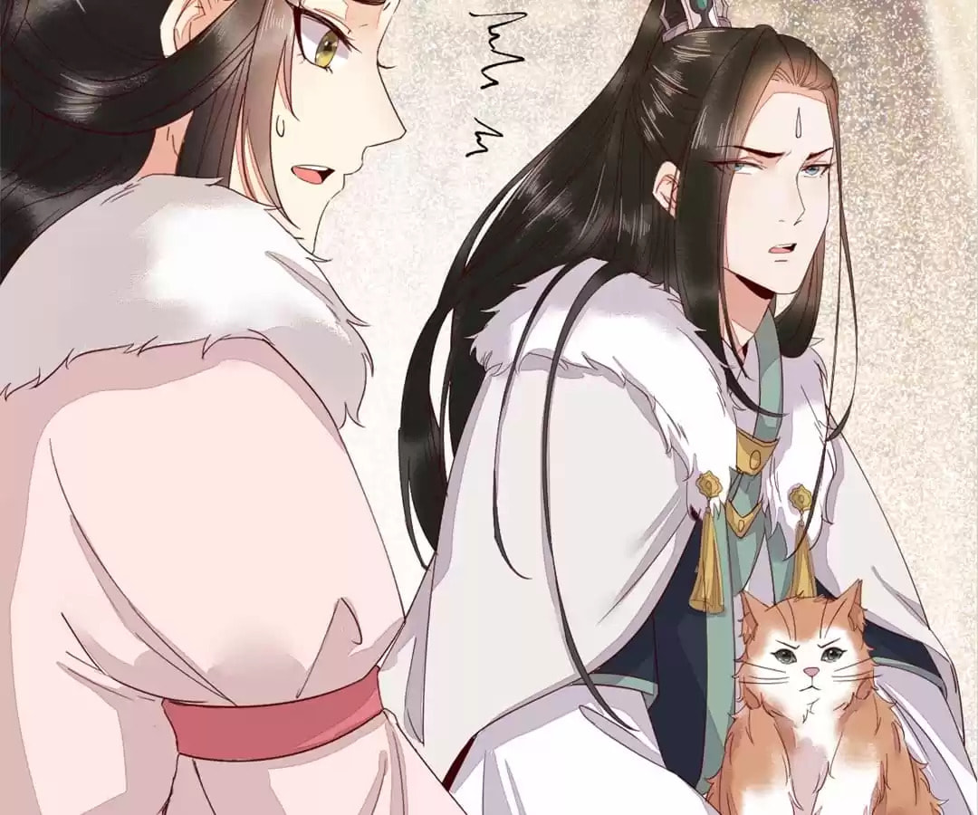 Read My Assassin Consort (Colored) chapter 45 image 66 on Lezhin
