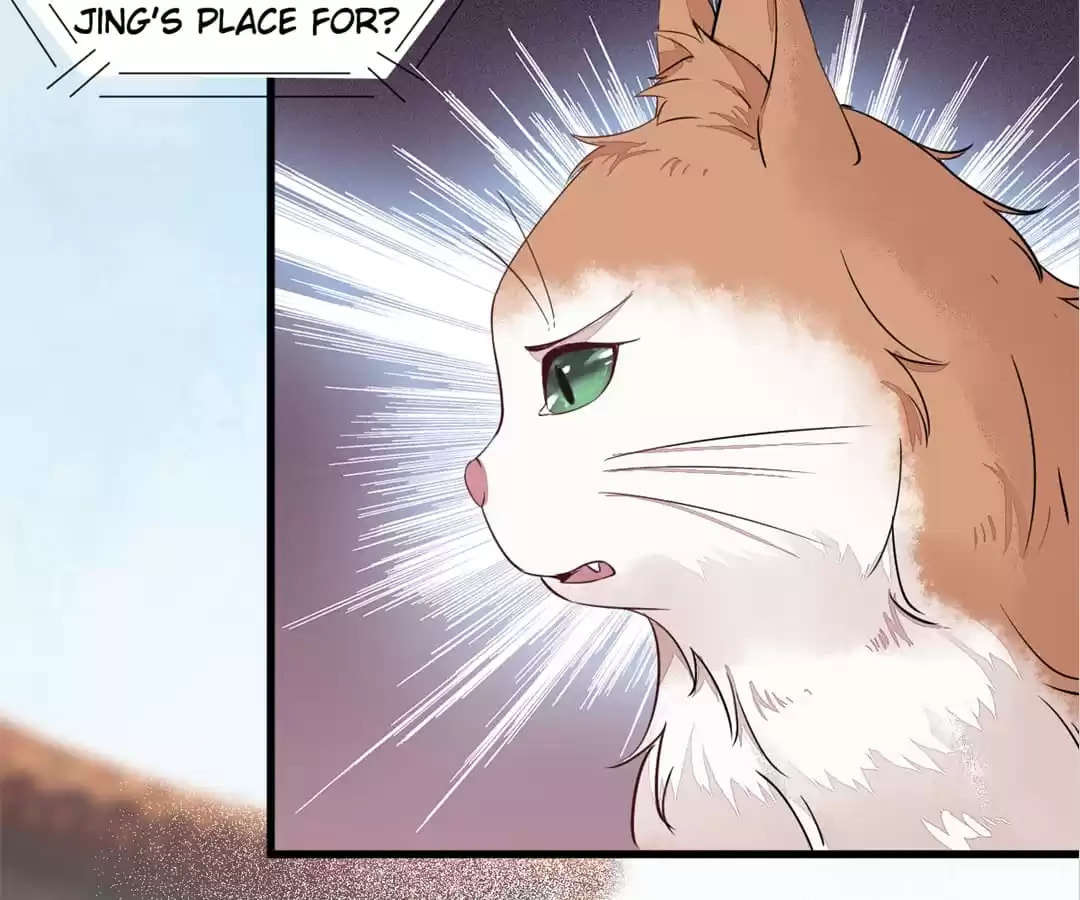Read My Assassin Consort (Colored) chapter 47 image 13 on Lezhin